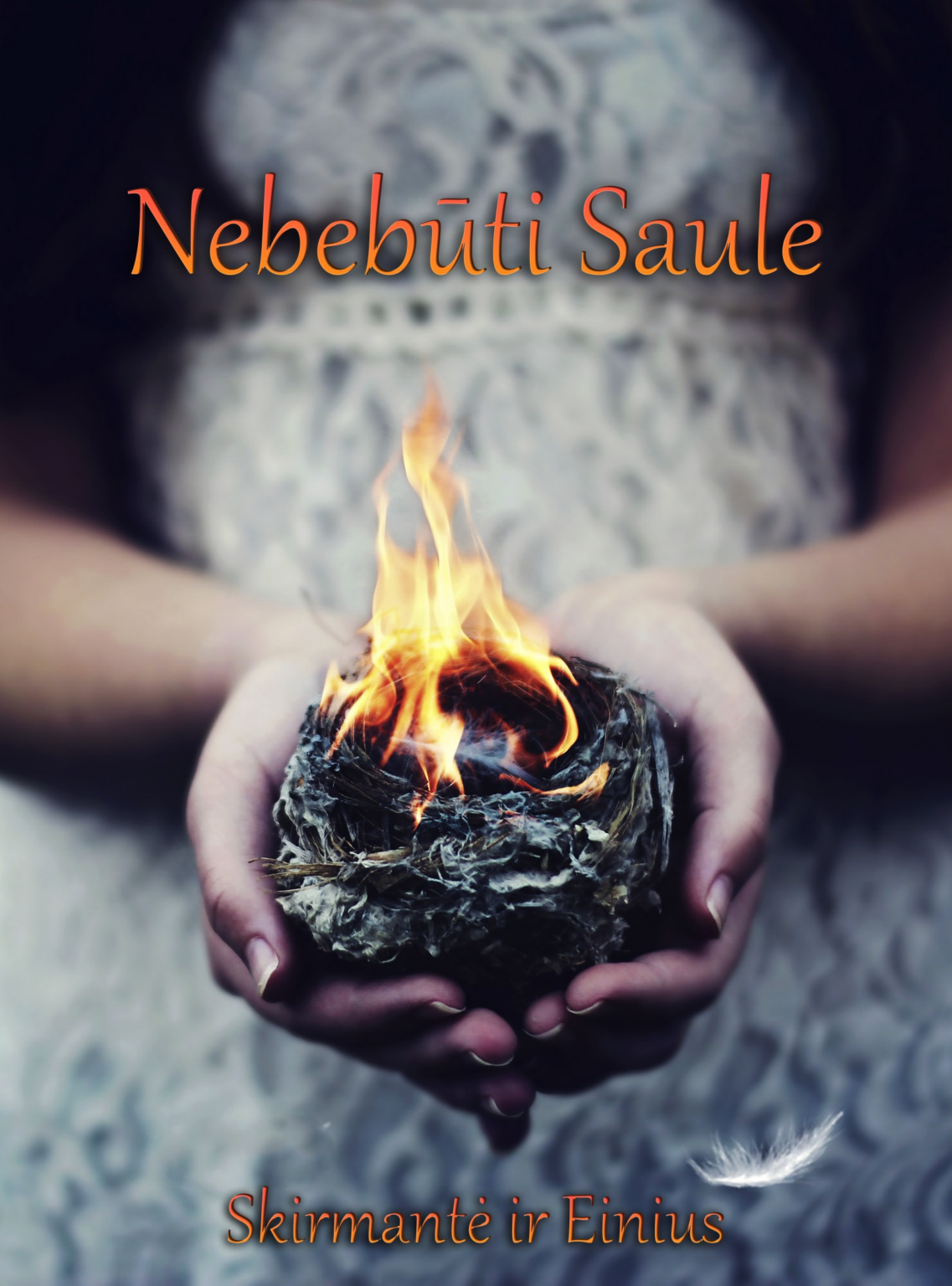 Skirmantė Rugsėjis ir Einius - Nebebūti Saule (el.knyga)