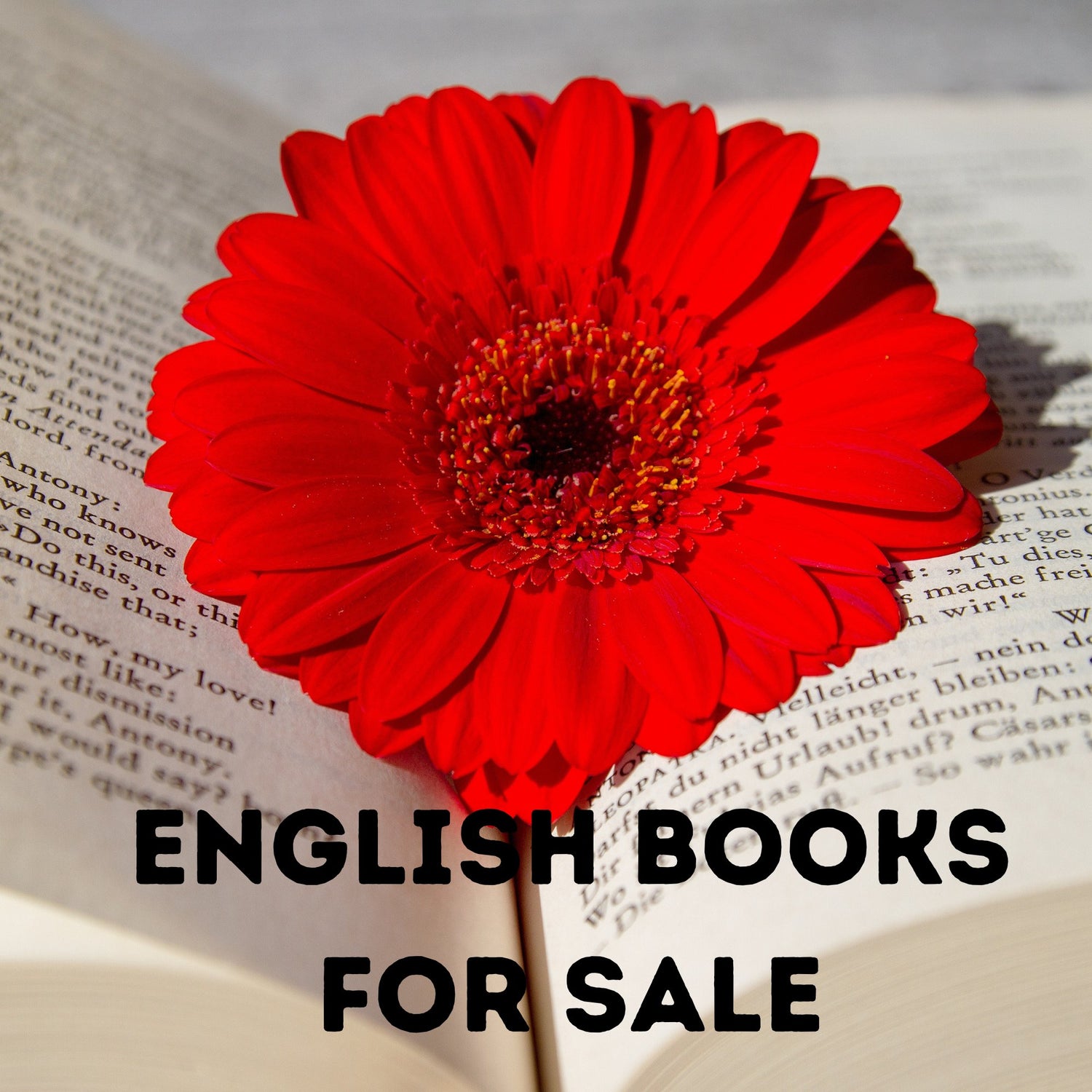 English books / knygos anglų kalba